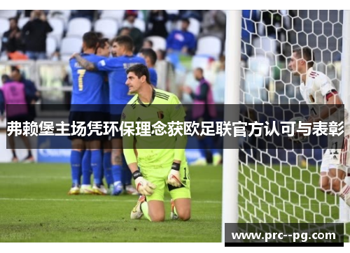 弗赖堡主场凭环保理念获欧足联官方认可与表彰