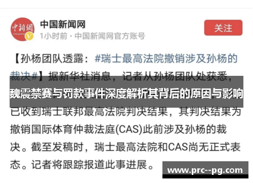 魏震禁赛与罚款事件深度解析其背后的原因与影响